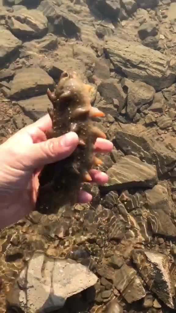 山东传统美食海鲜疙瘩汤为山东美食打cal