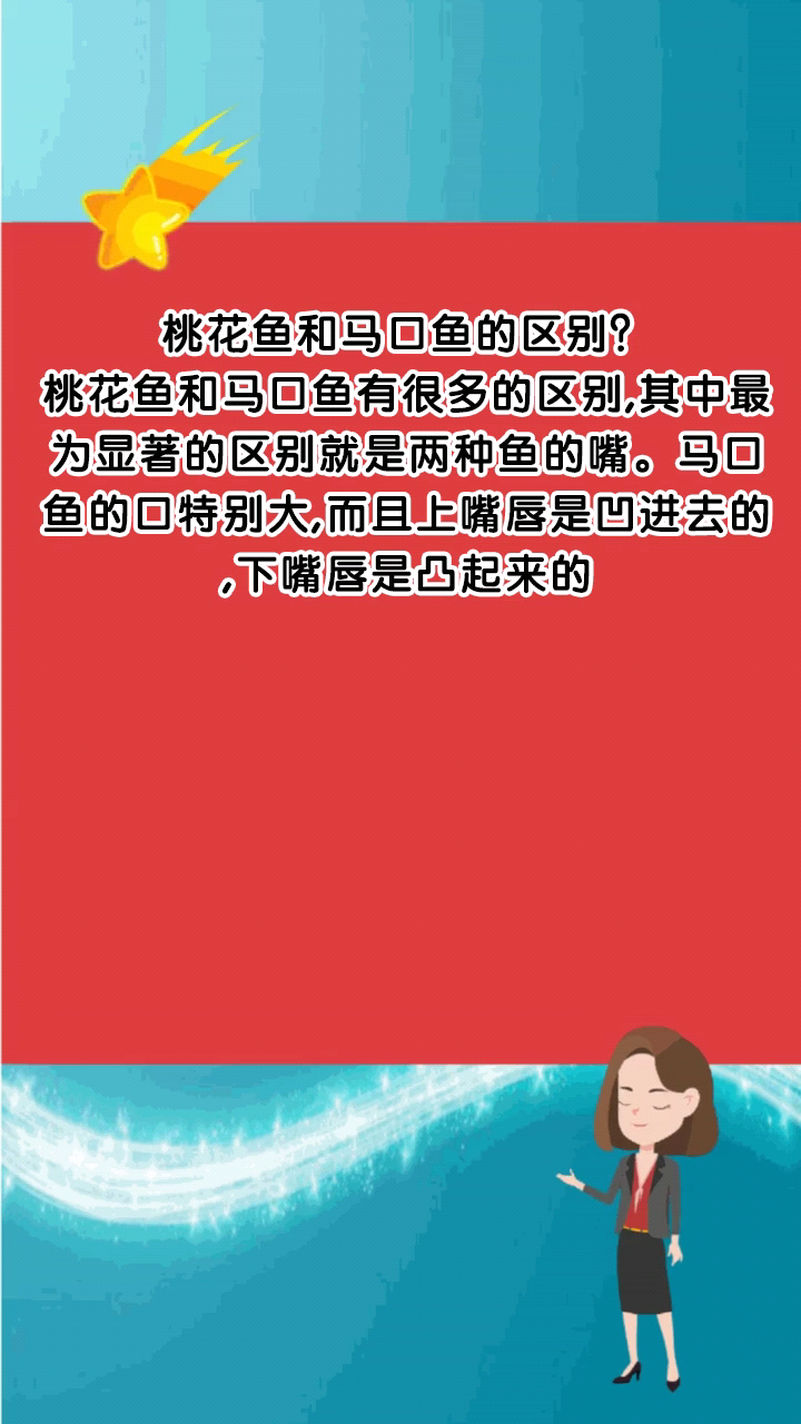 桃花鱼和马口鱼的区别?