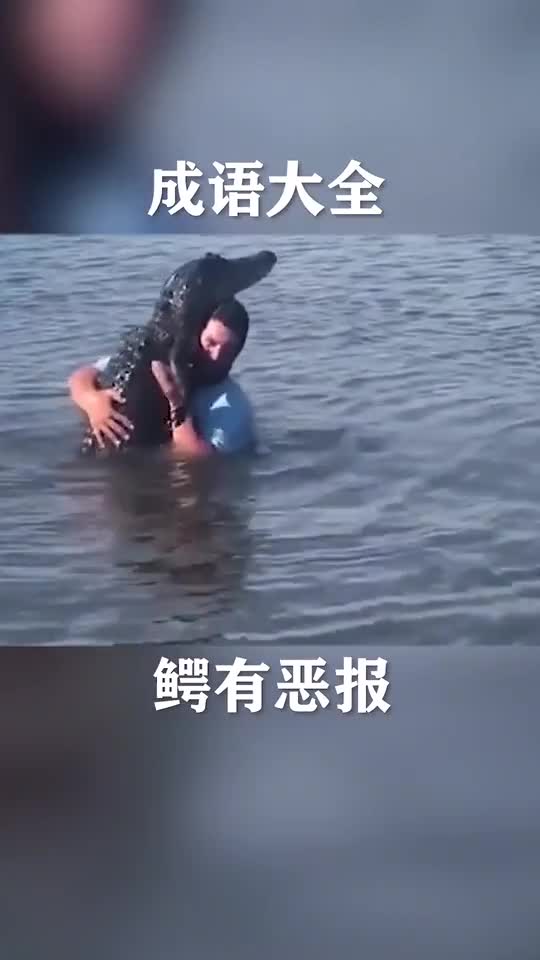 鳄鱼别人看到我都是拼命跑,而你却要抱着我跳舞难道这就是鳄有恶抱成语搞笑每日一笑