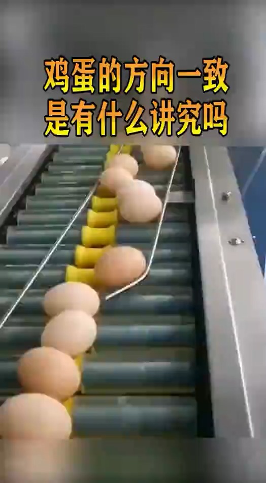 鸡蛋大小头调向,全都是小头朝下,这是有讲究的吗