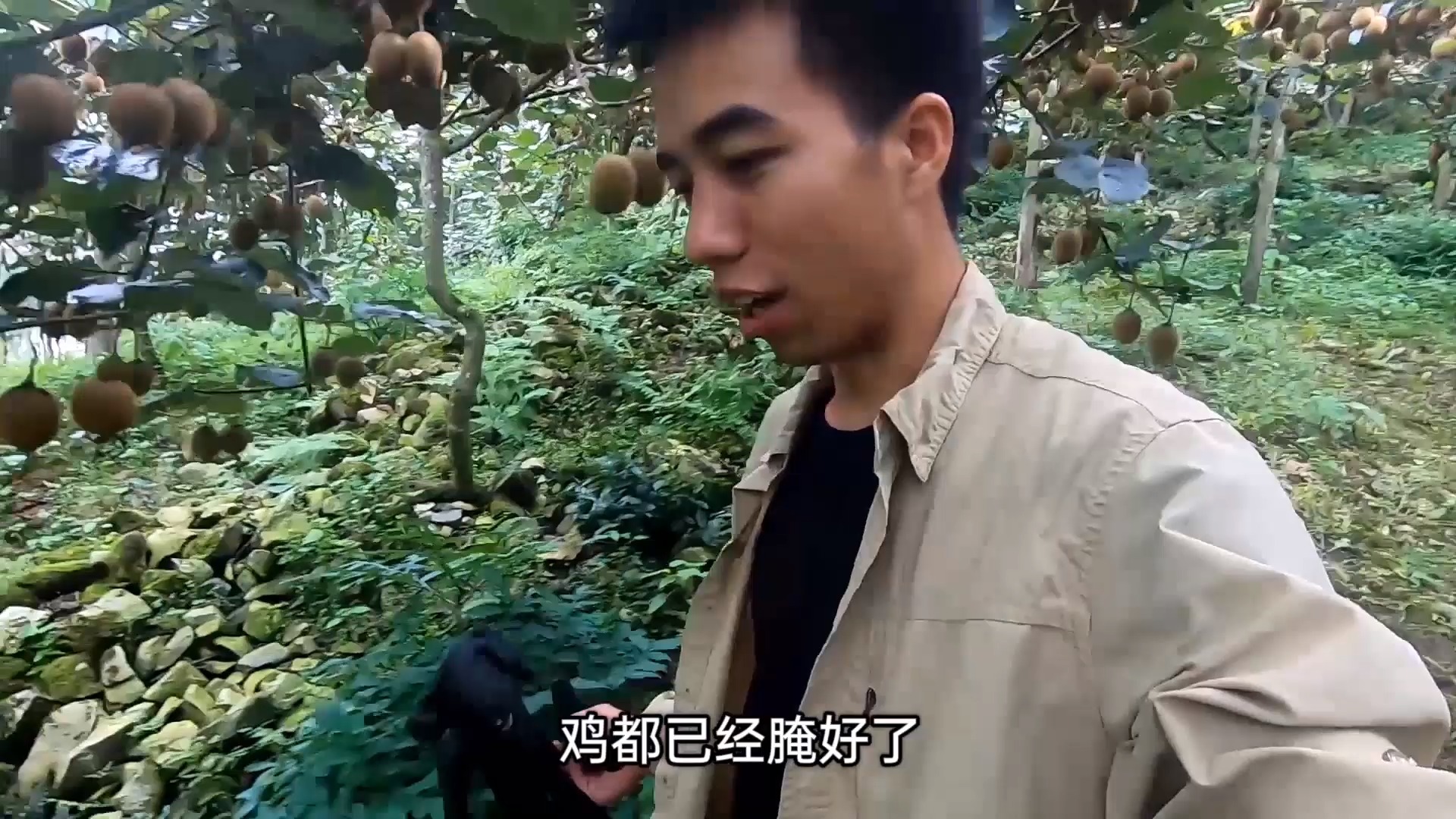 #自驾游#车友要吃我烤的叫花鸡,找只土鸡捡些木材,火上一架,开烤(下)