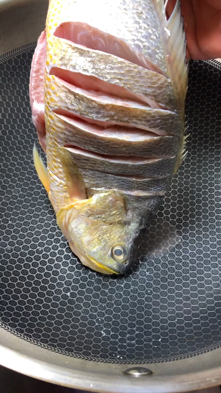 #美食#家常烧大黄花鱼教程