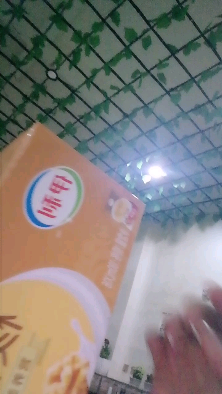伊利核桃牛奶