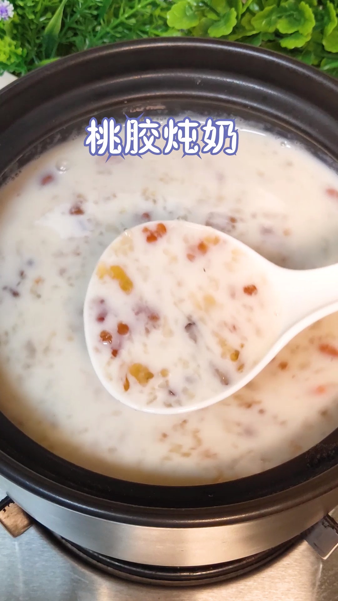 #桃胶炖牛奶#立秋后多给媳妇喝这道甜汤,常喝气色好,老婆越喝越漂亮