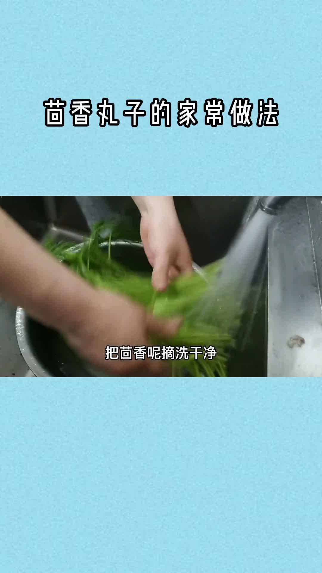 茴香丸子的家常做法,你清楚了吗