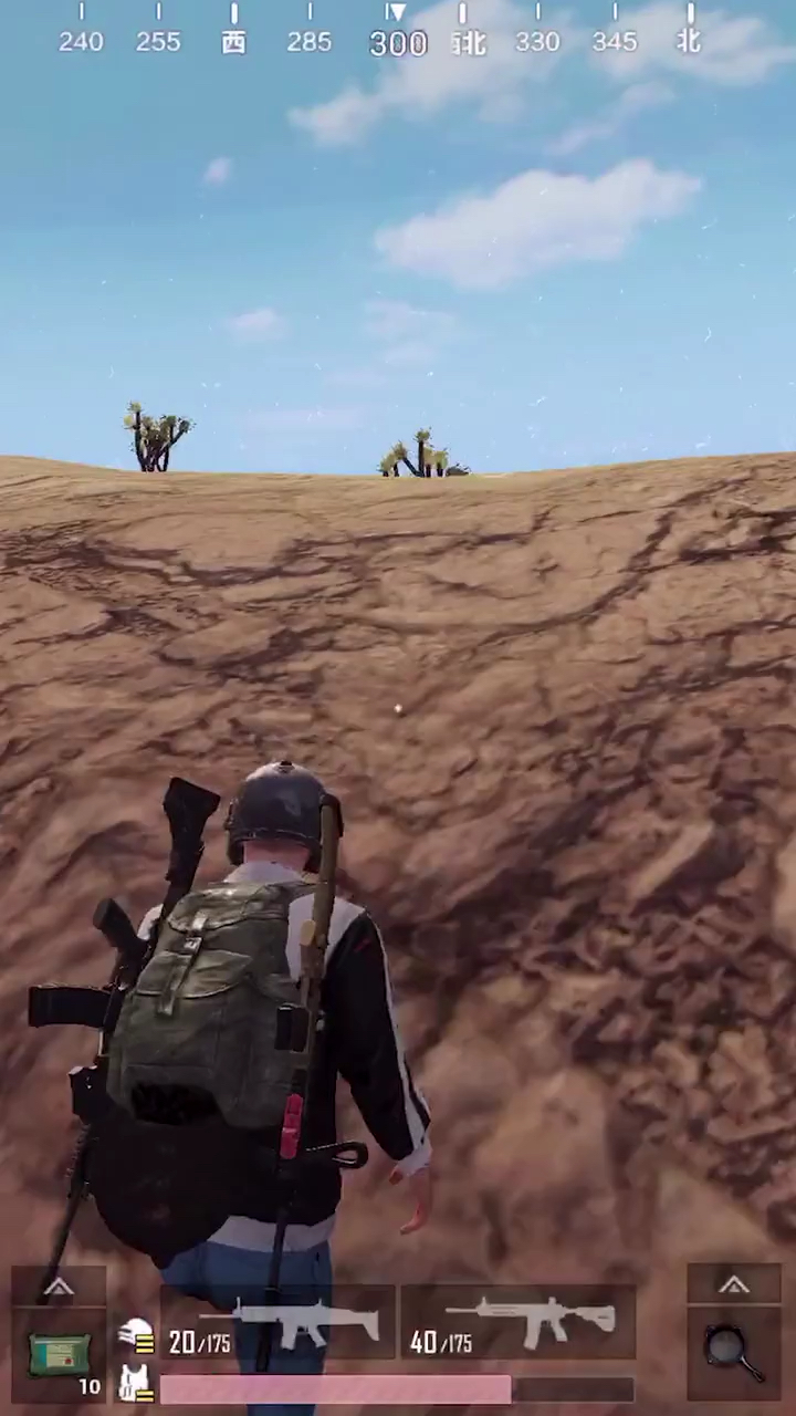 沙漠骆驼这个曲风喜欢嘛