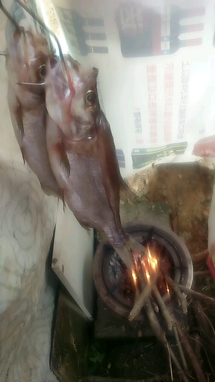 最爱吃鱼的我,品尝鉴赏制作洞庭湖特有之刁子鱼!感谢上苍的眷顾!