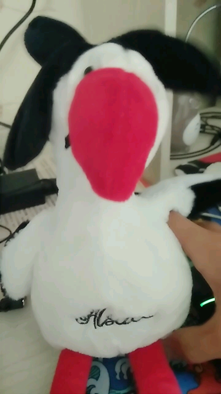 小鸭子