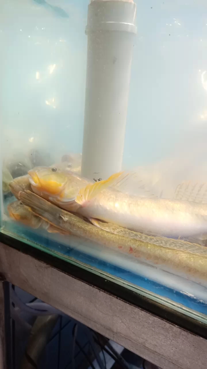 分享视频