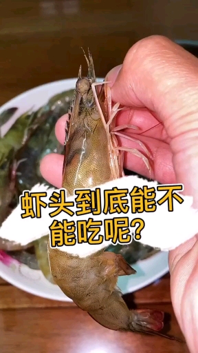 #带上全民去旅行#虾头到底能不能吃呢?