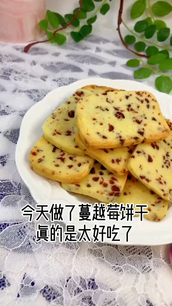 不用打发也能做酥的掉渣的蔓越饼干大人孩子都爱吃