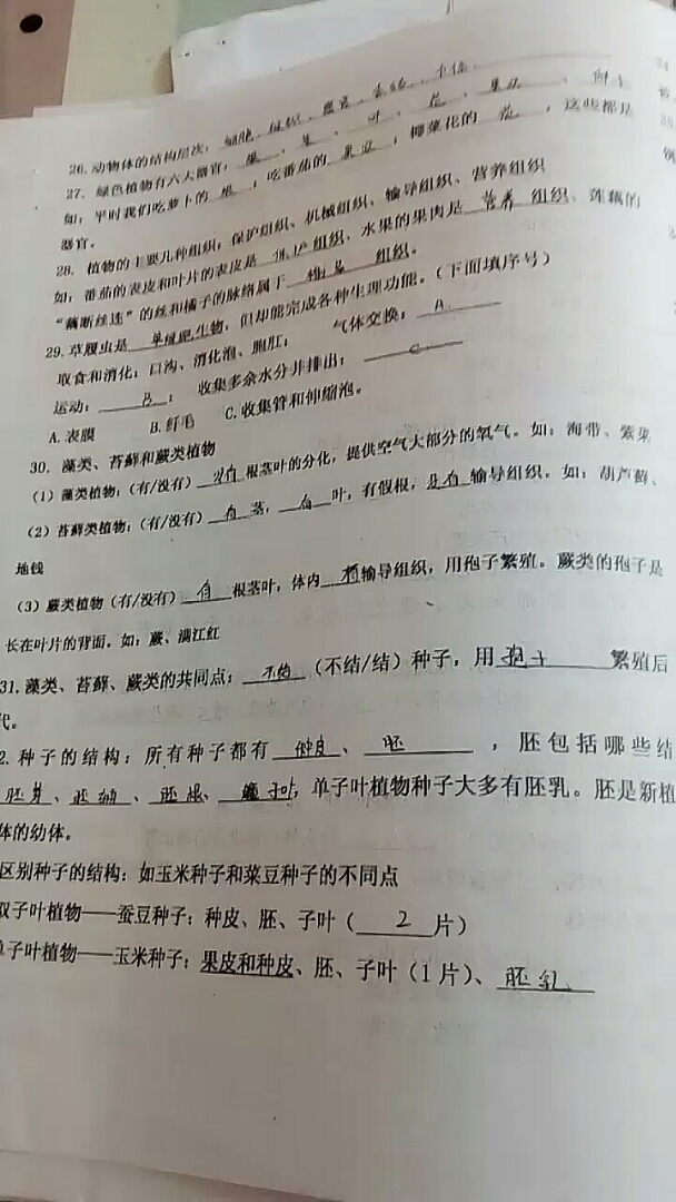 我为你而疯狂,你却还是没有放过我～