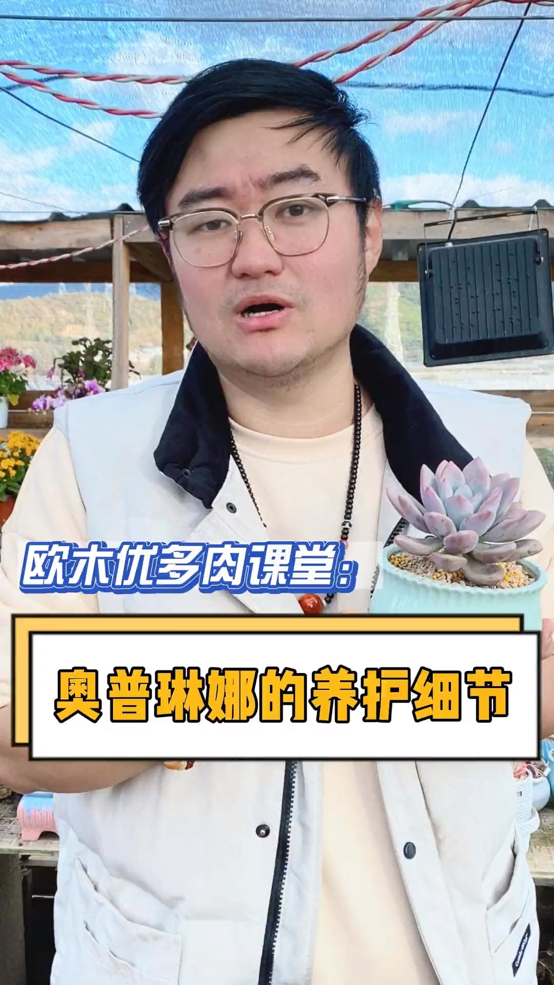 #有一种可爱叫多肉!#奥普琳娜如何长得又肥又胖?这个视频告诉你#多肉#多肉植物#