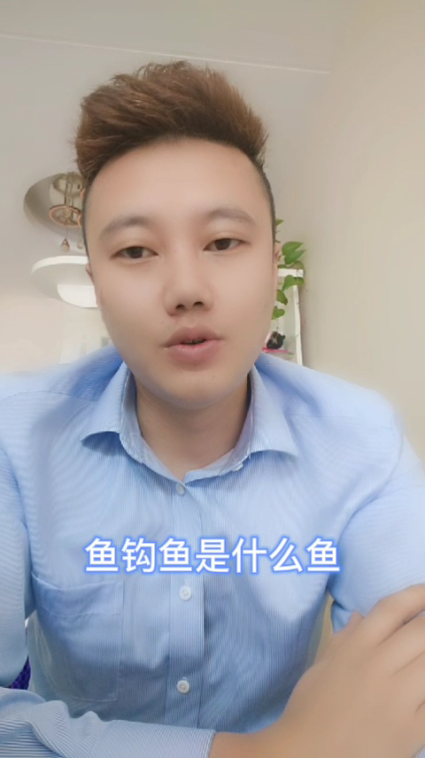 鱼钩鱼是什么鱼  