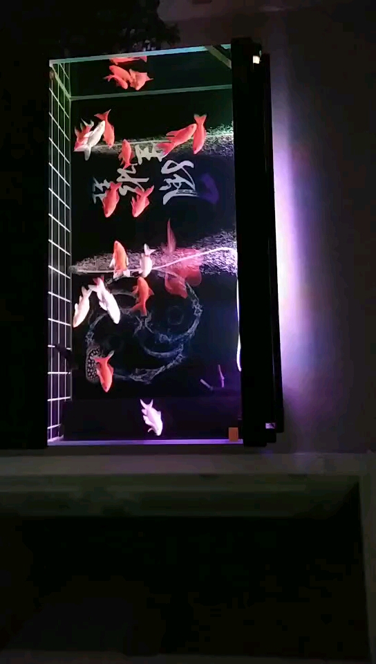 西龙2.5*40鱼缸