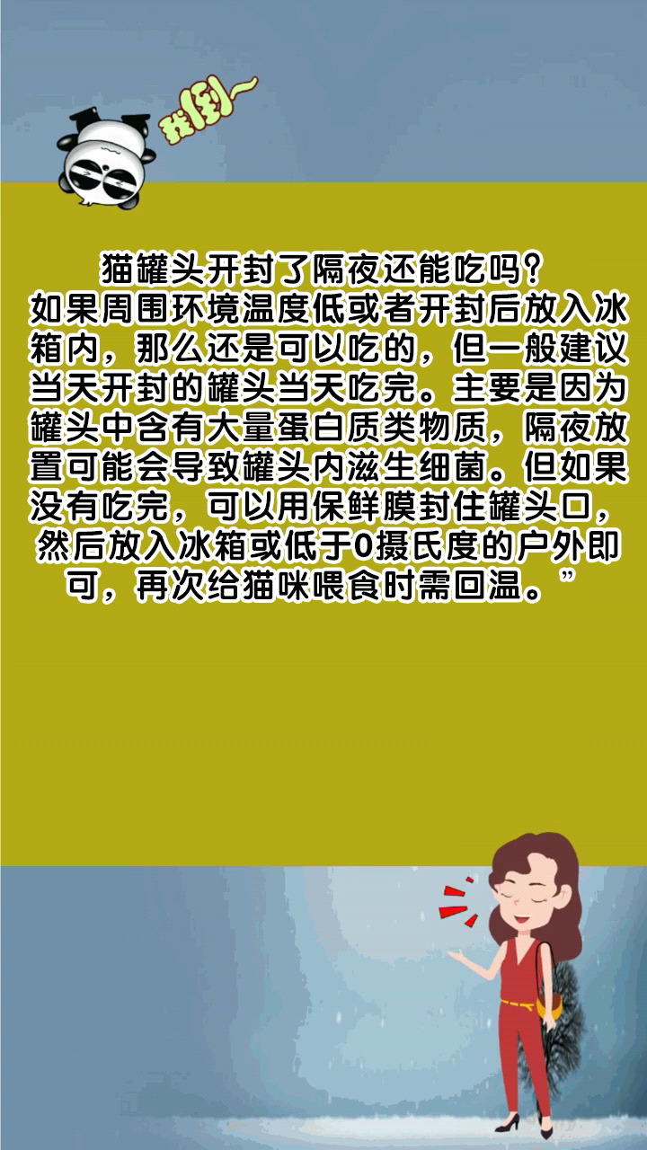 猫罐头开封了隔夜还能吃吗?