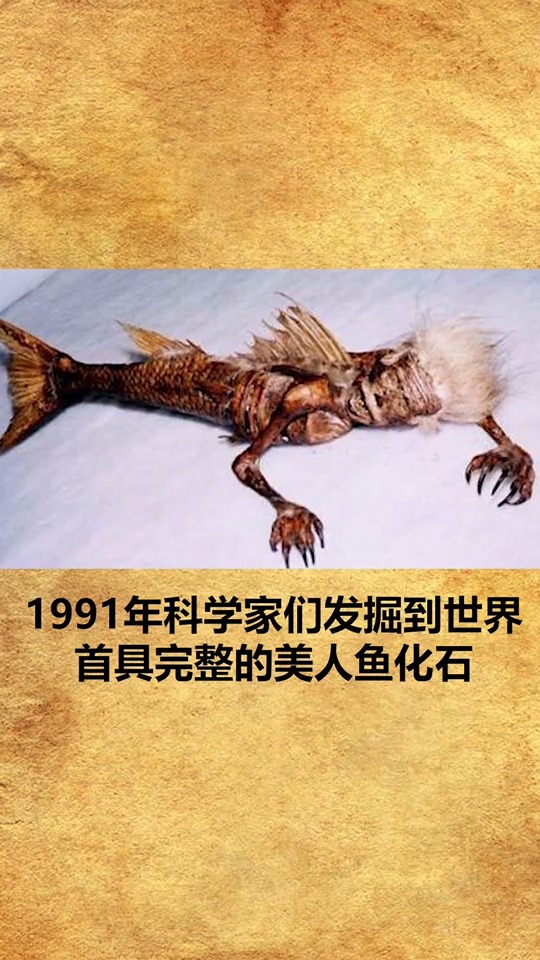 #奇闻趣事抢先看#童话中的美人鱼是假的