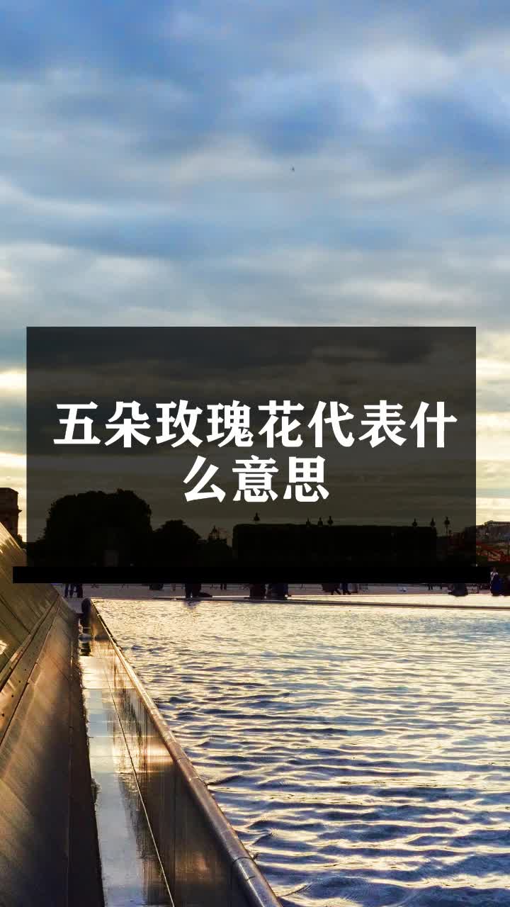 五朵玫瑰花代表什么意思