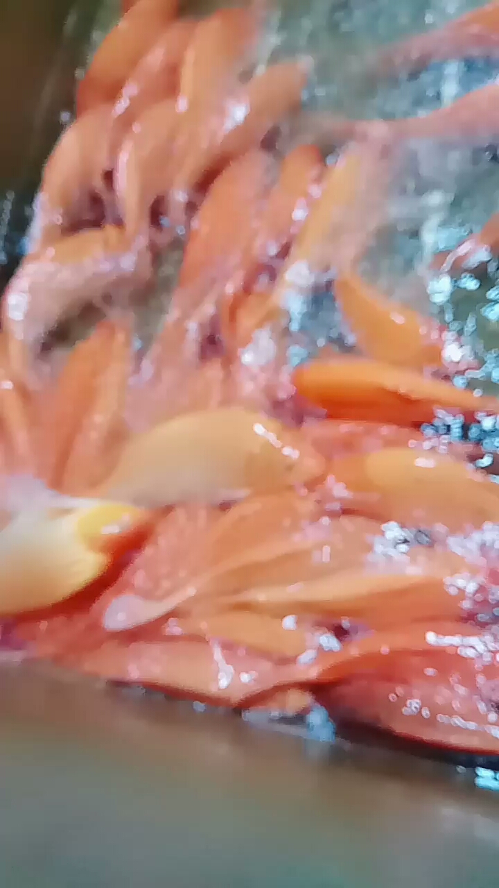 大红鱼