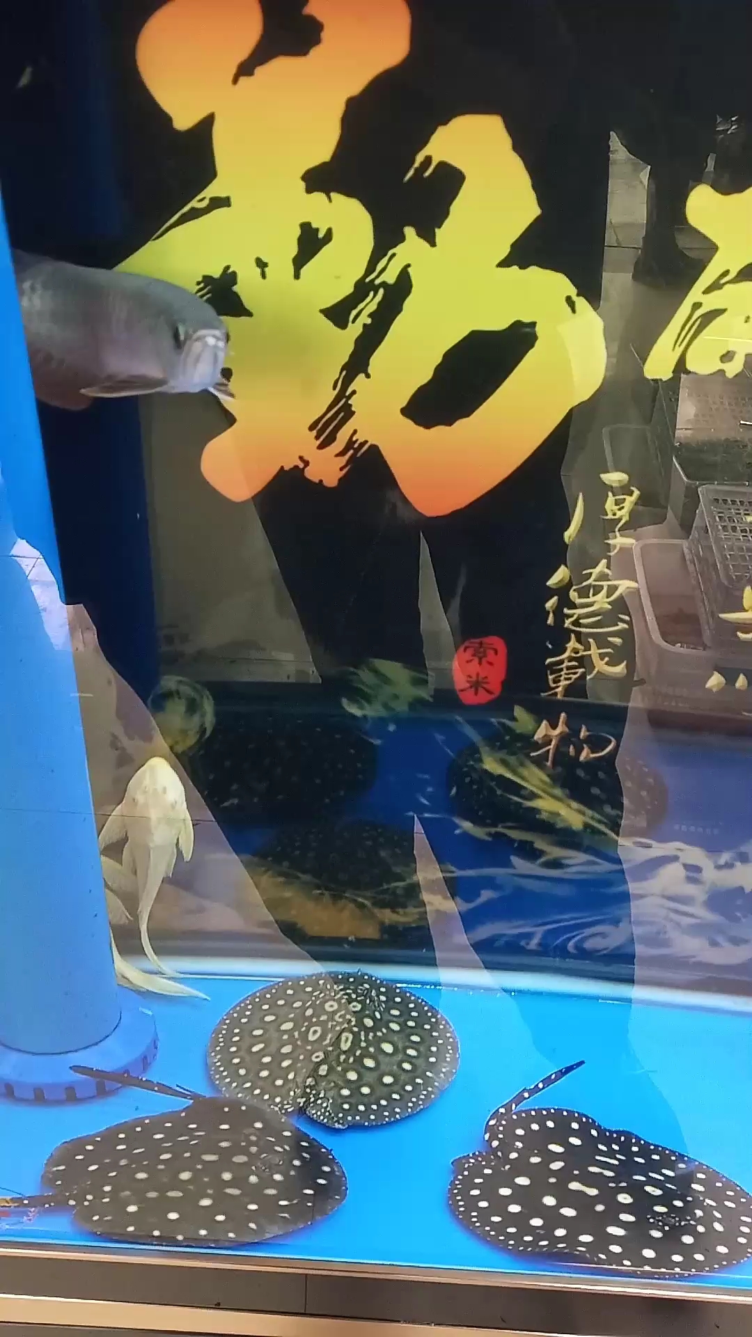 分享视频