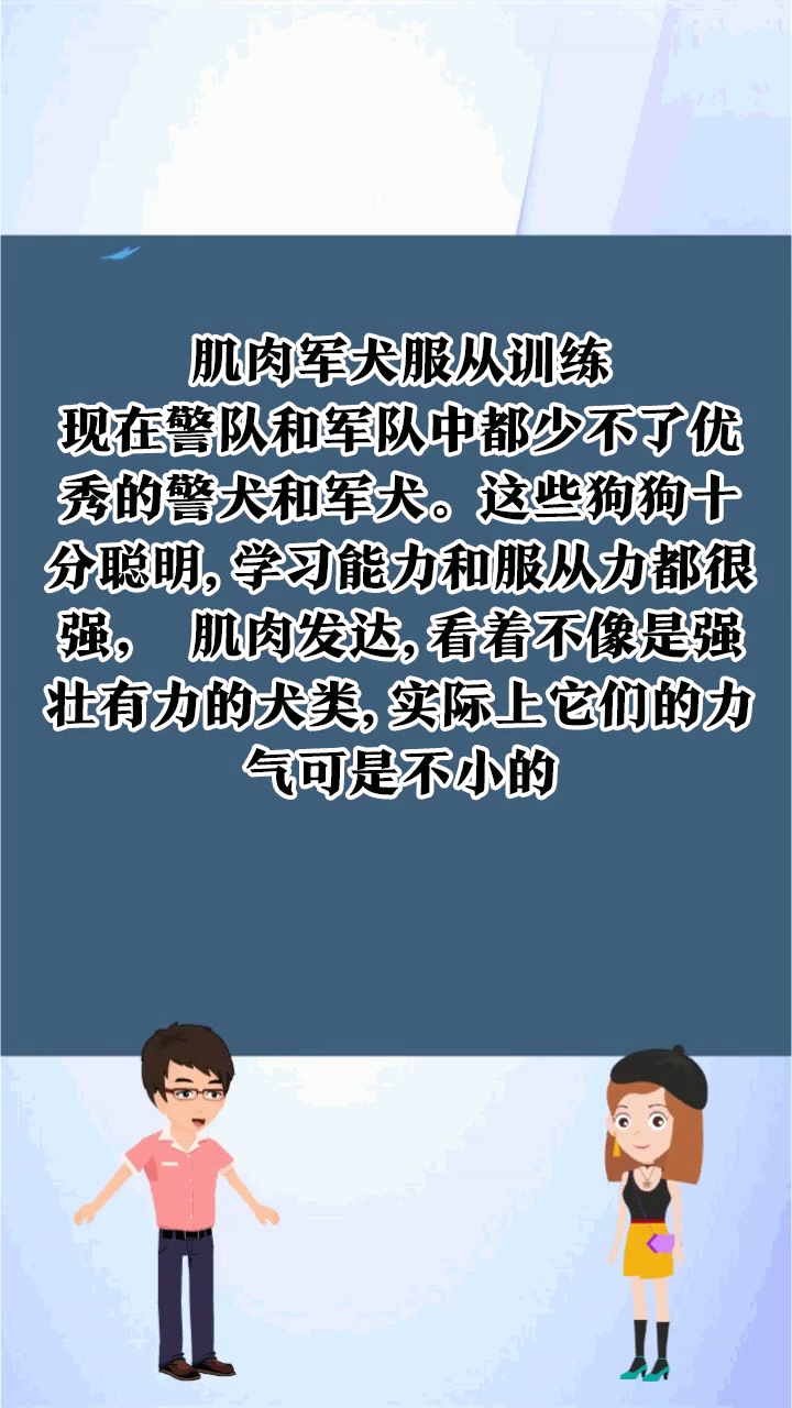 肌肉军犬服从训练