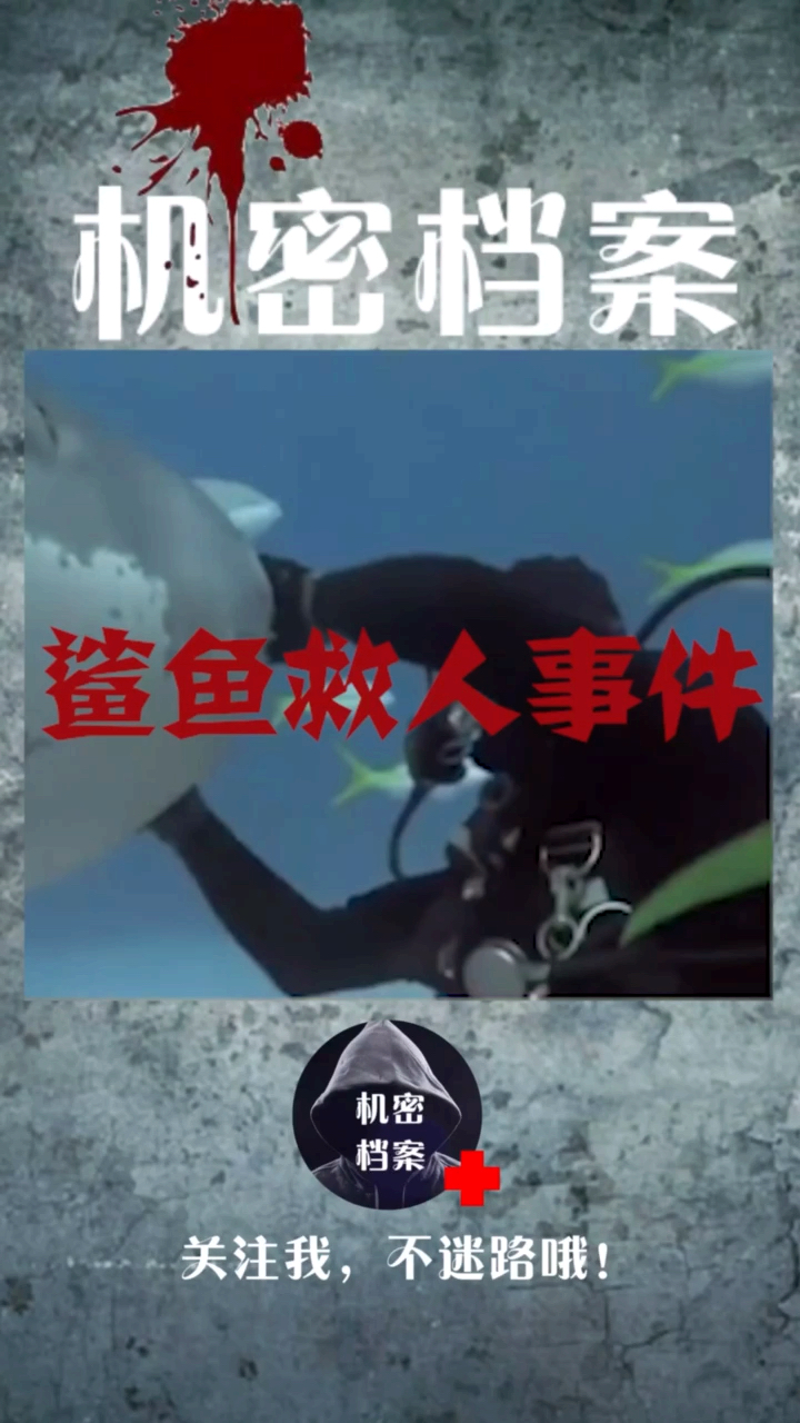 #我要上热门#鲨鱼救人事件!