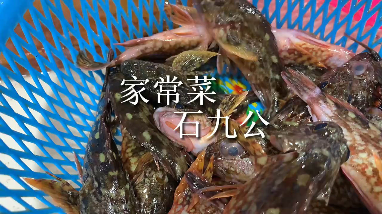 石九公鱼做法