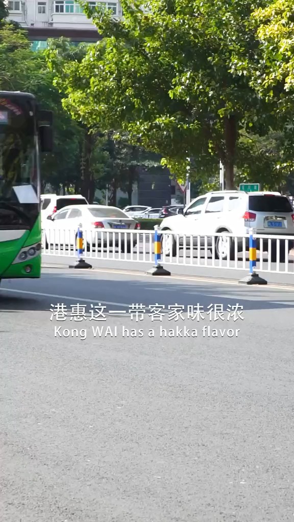 什么酿豆腐,手撕该,猪肉汤客家人从来不会放过