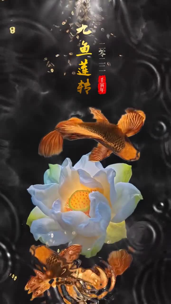 水生财,鱼为灵,九鱼莲转福自来!2022富贵漫天,财运亨通!换这个壁纸!