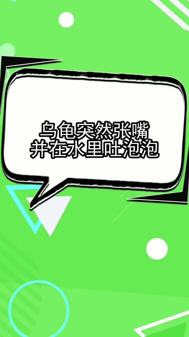 乌龟突然张嘴并在水里吐泡泡,你清楚了吗