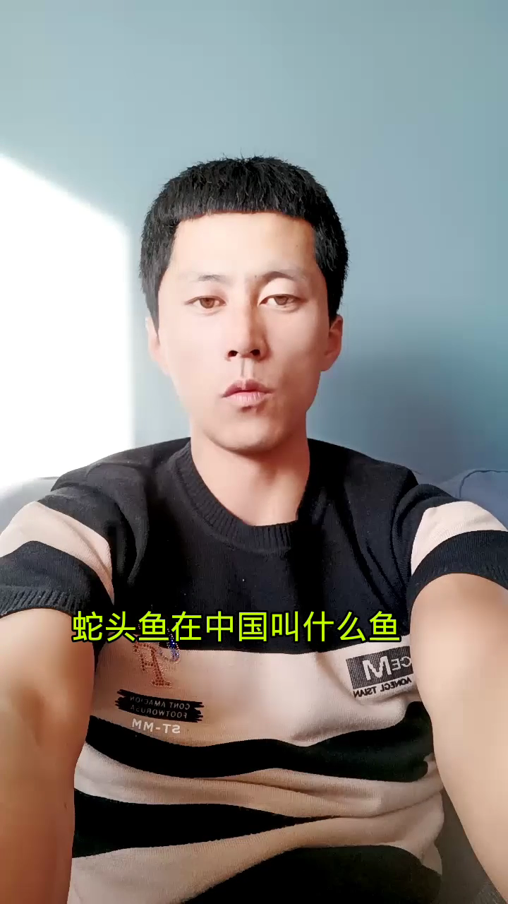 蛇头鱼在中国叫什么鱼