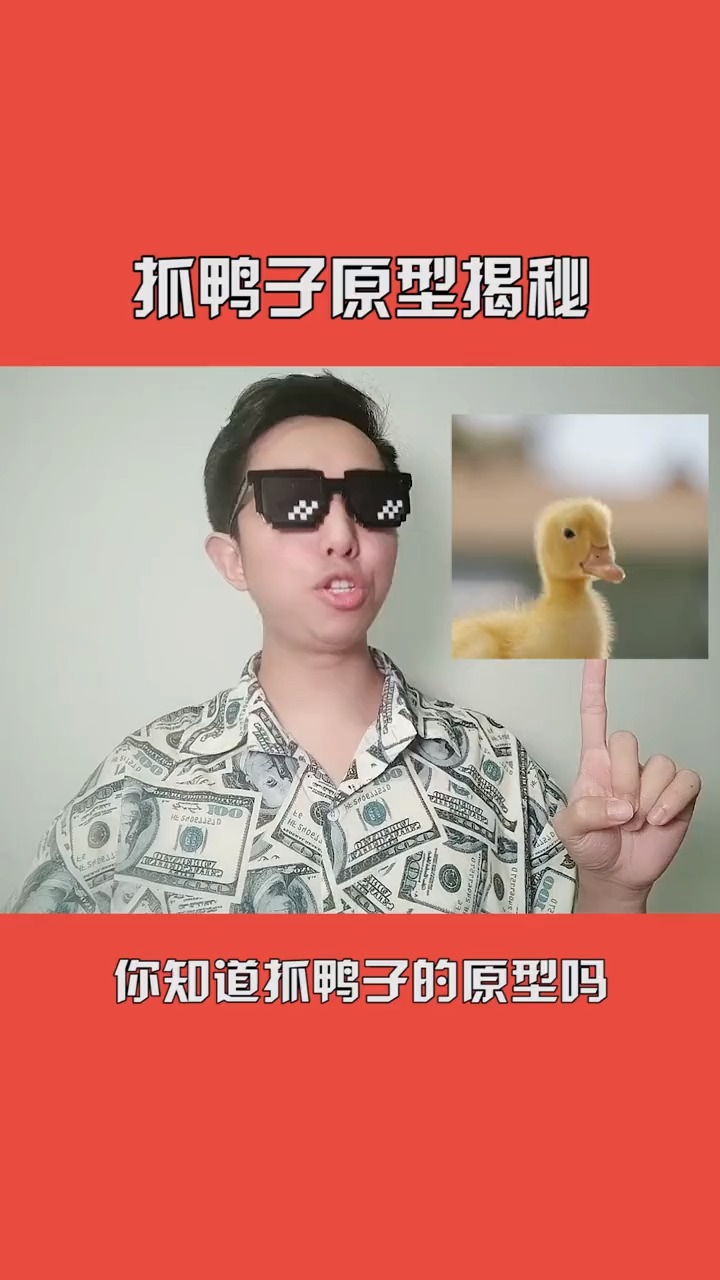 鸭子:我今年做错了什么!