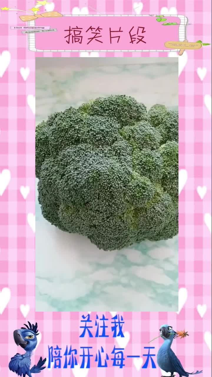 做法简单,营养美味,西兰花鸡蛋饼做法!,搞笑视频