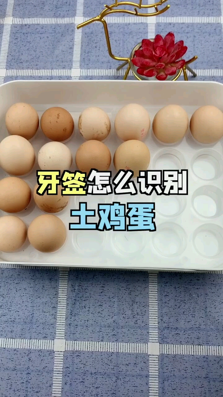 婆婆担心我会买到假的土鸡蛋特意教了我这个识别方法