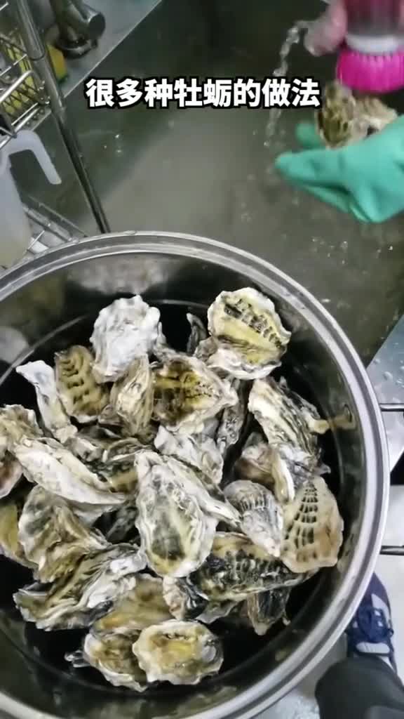 牡蛎续集来了。四种做法,你爱哪种?,火炬女神,乐清美食,生蚝,牡蛎