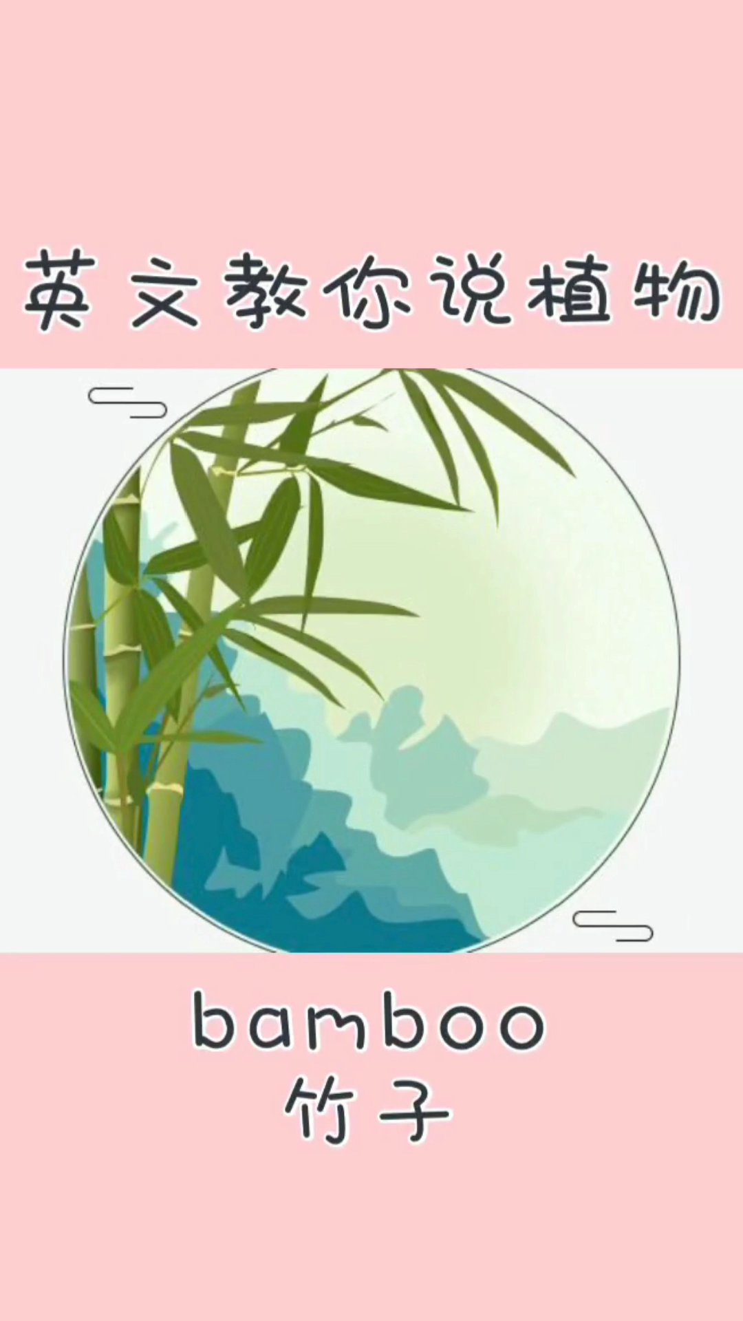#竹子英语怎么读#竹子英语