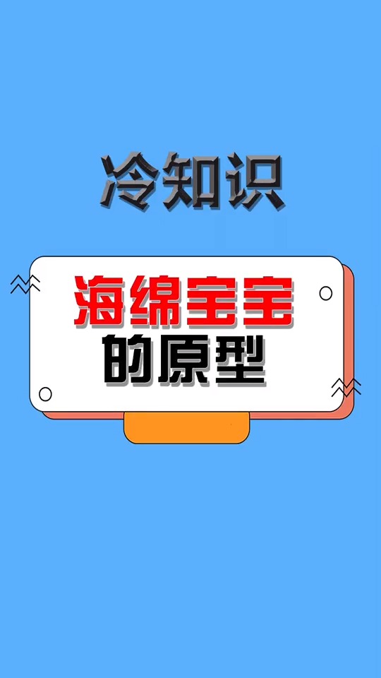 海绵宝宝的原型