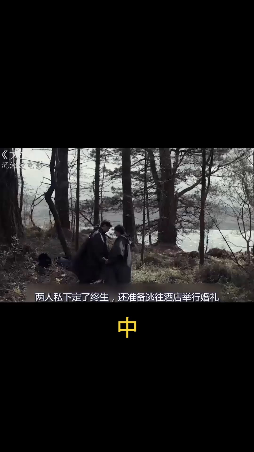 电影【龙虾】第8部分