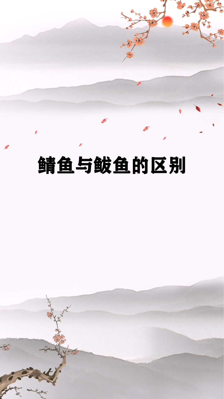 鲭鱼与鲅鱼的区别
