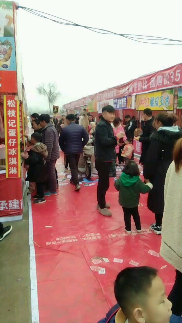 马戏进行中