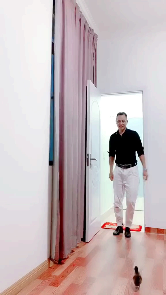 陪小鸭子踩踩音乐