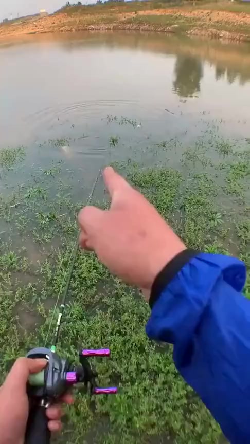 #搞笑段子#一把好饵料,竟然没钓到鱼,太不正常了