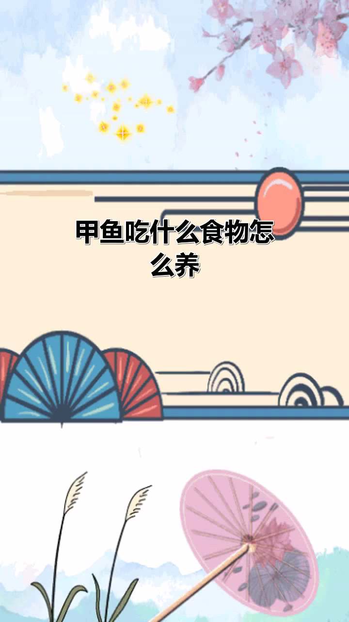 甲鱼吃什么食物怎么养