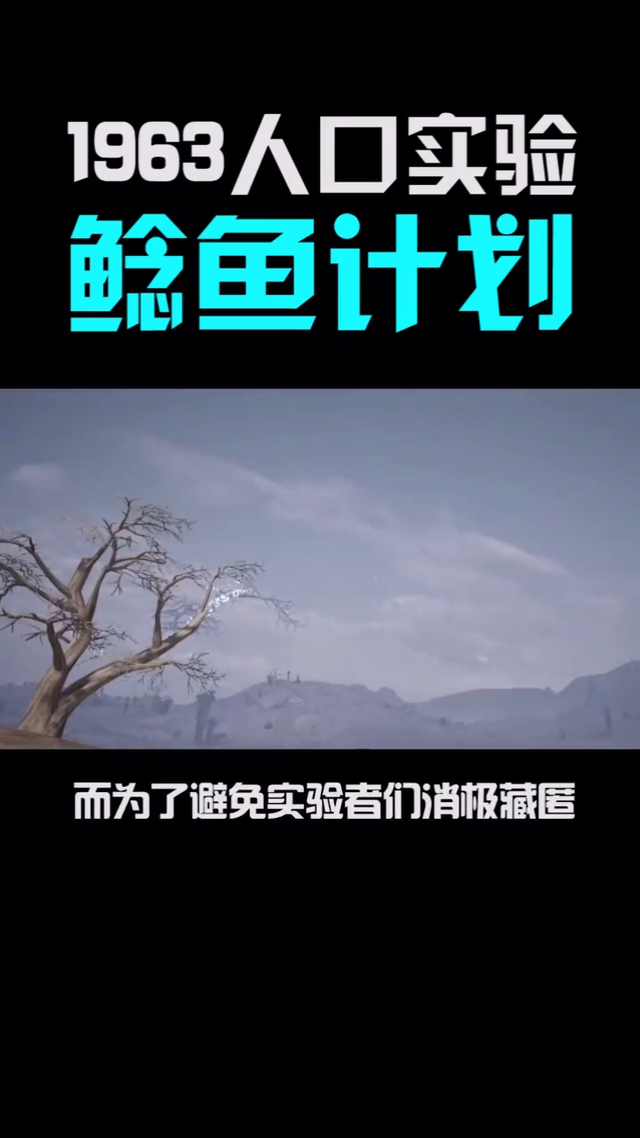 吃鸡游戏原型3