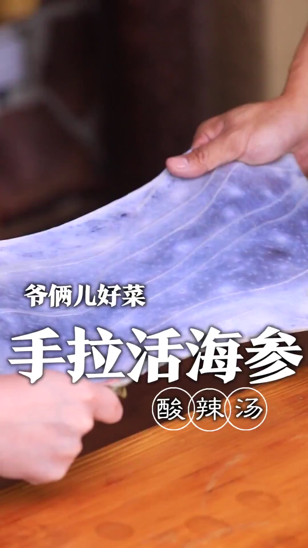 活海参不会做真咬不动,教你手拉活海参解决海参咬不动,做汤凉拌都可以!