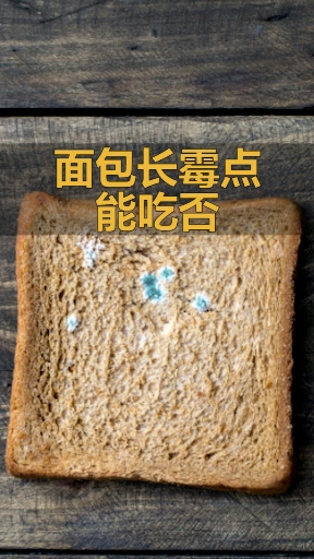 面包的霉点不是开始坏的征兆,而是已经坏透了的表现...