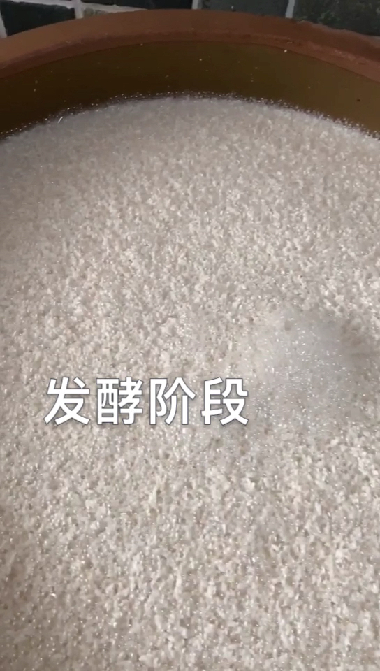 大米酒煮饭发酵蒸酒流程
