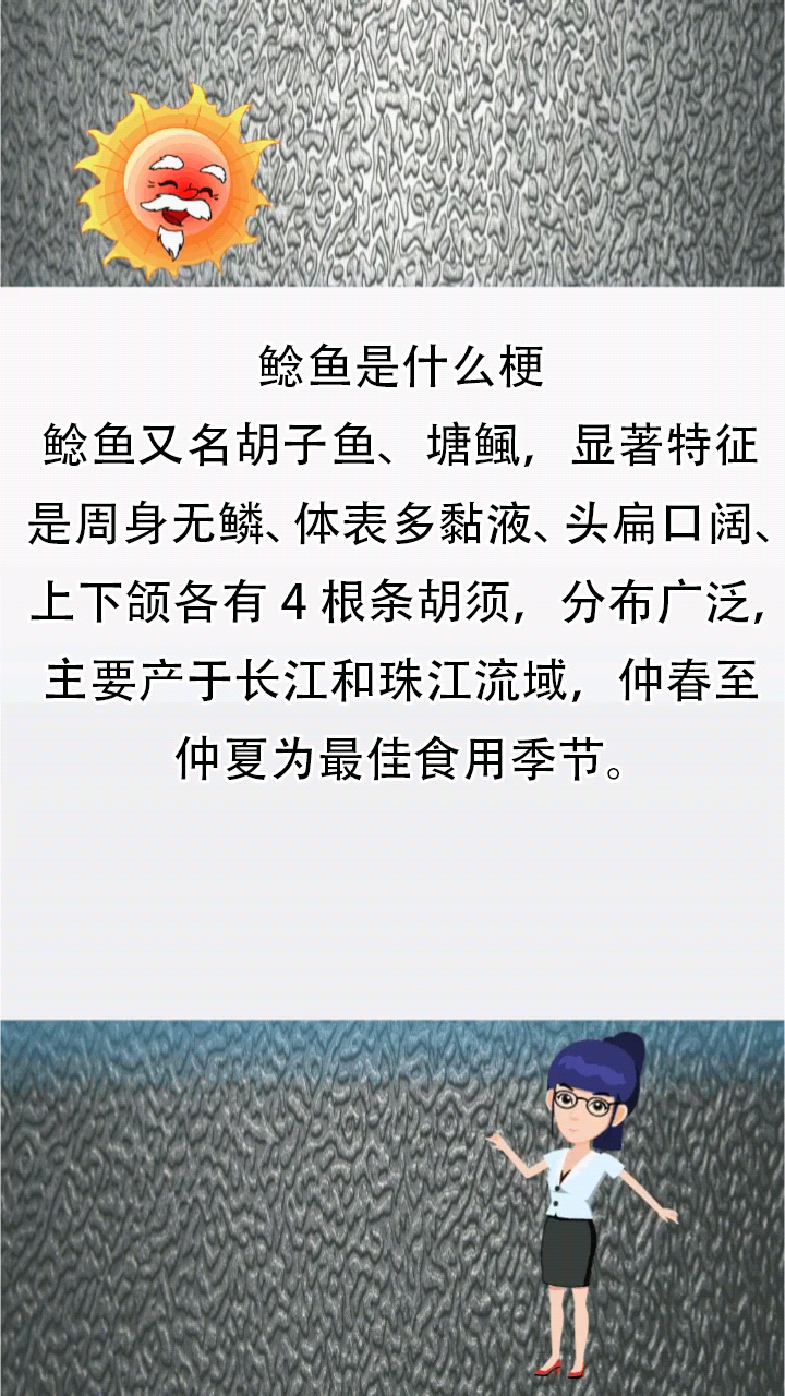 鲶鱼是什么梗呢?