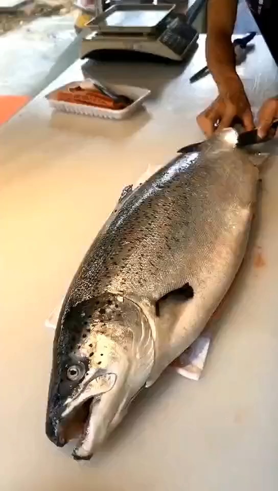 刀快就是好整鱼麟也快