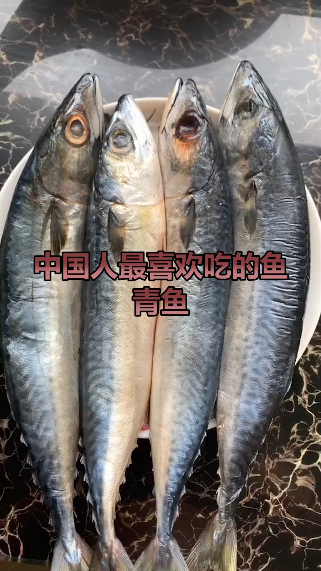 青鱼,都爱吃的一种鱼,营养价值丰富